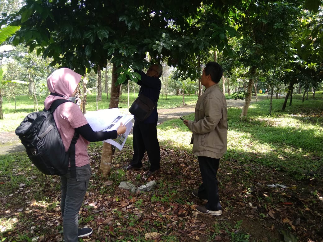 64f9c3ff5da7f_Identifikasi Tanaman Di Arboretum2.jpeg