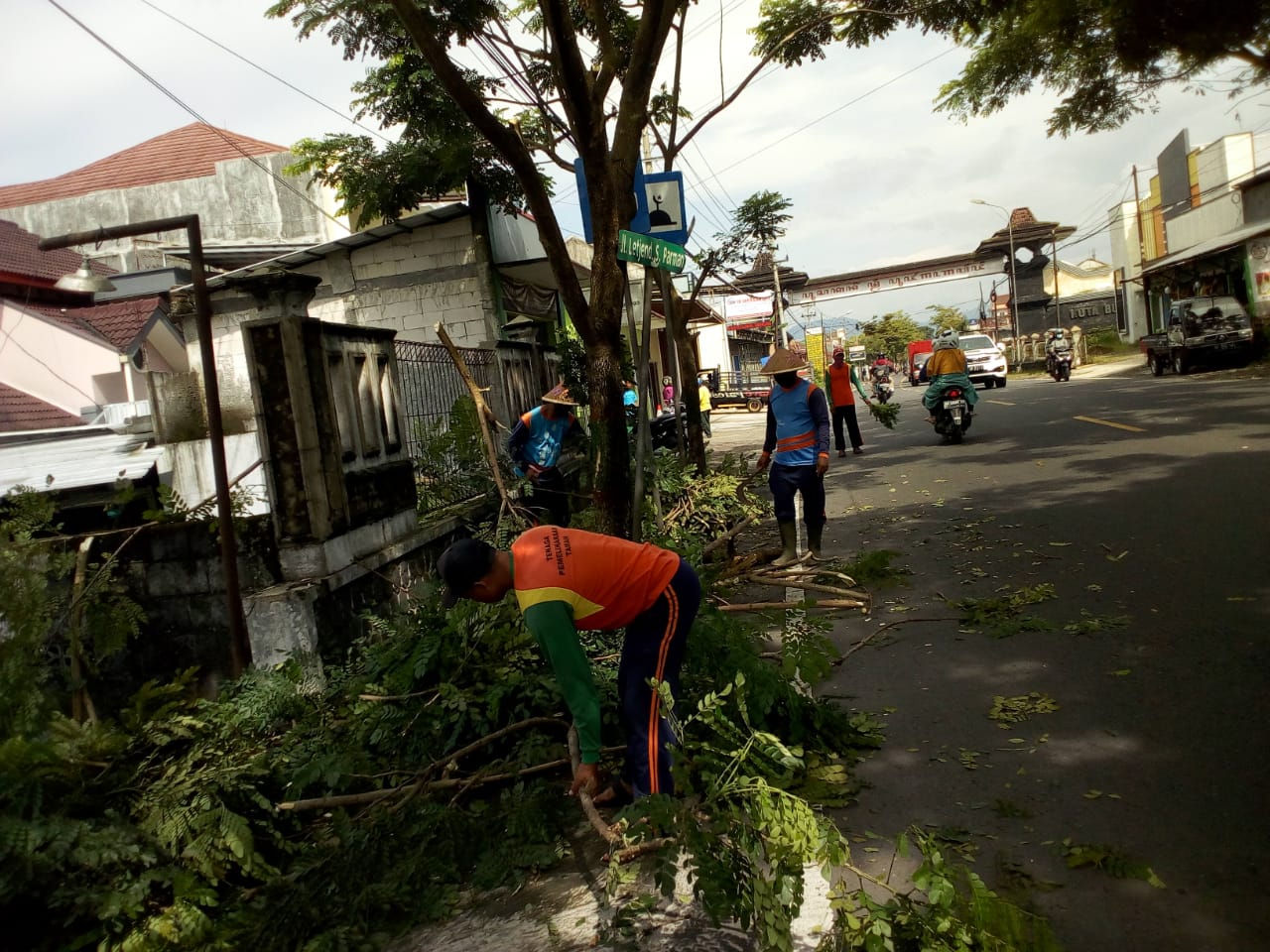64fa7e3a769be_Perambasan Pohon Di Jl. S Parman.jpg