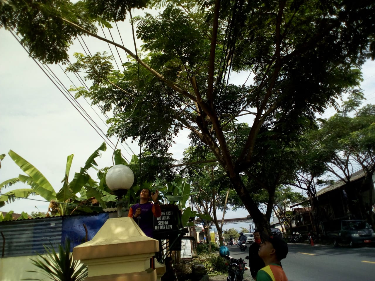 64fa7e3b7d2c8_Perambasan Pohon Di Jl. S Parman2.jpg