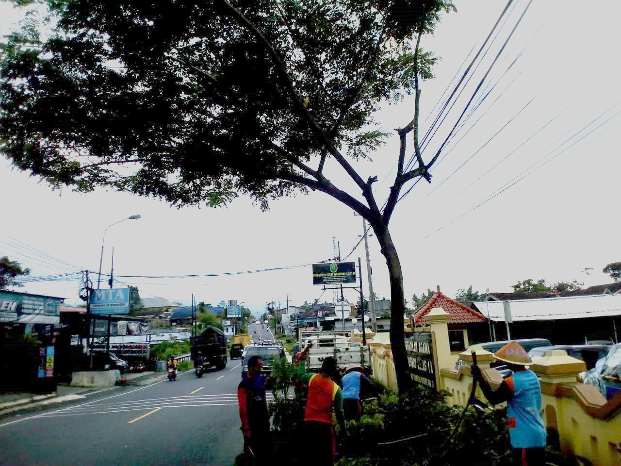 64fa7e3bdce05_Perambasan Pohon Di Jl. S Parman1.jpg