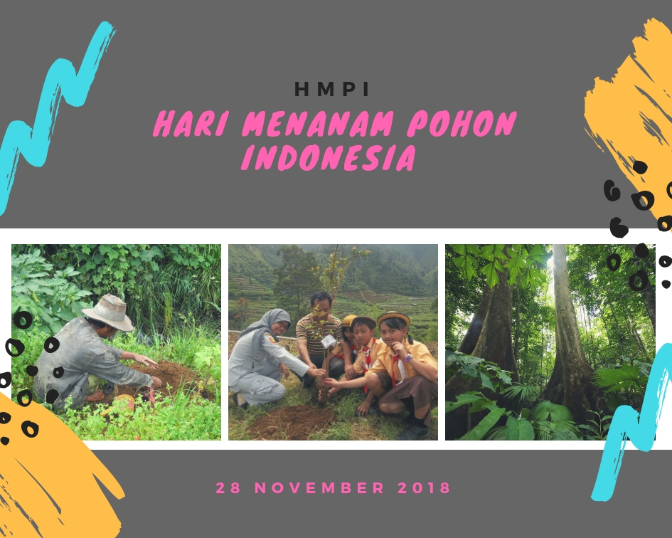 64fc4e042449f_Hari Menanam Pohon Indonesia.jpeg