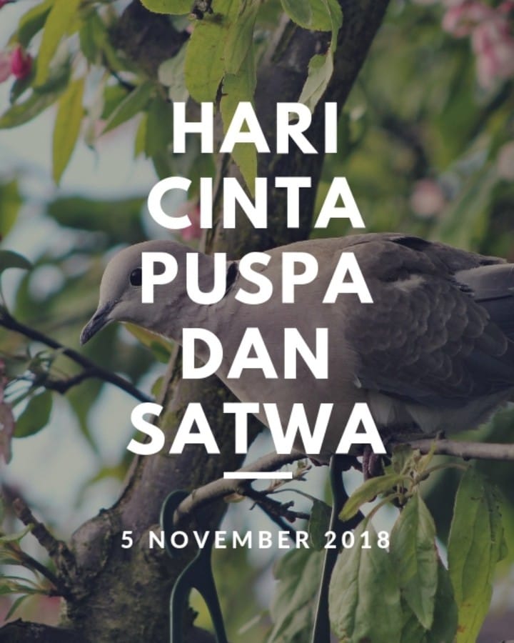 64fc4f66c516b_Hari Cinta Puspa Dan Satwa.jpeg
