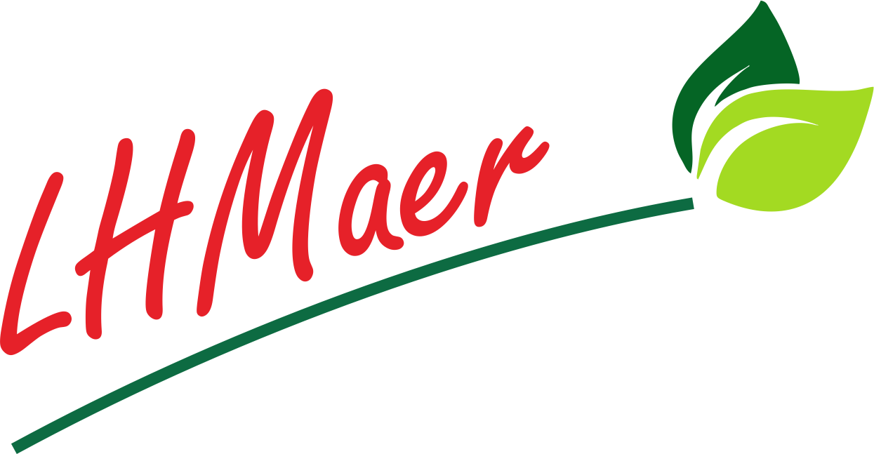 68ee63262b2e8_lhmaer 1.png
