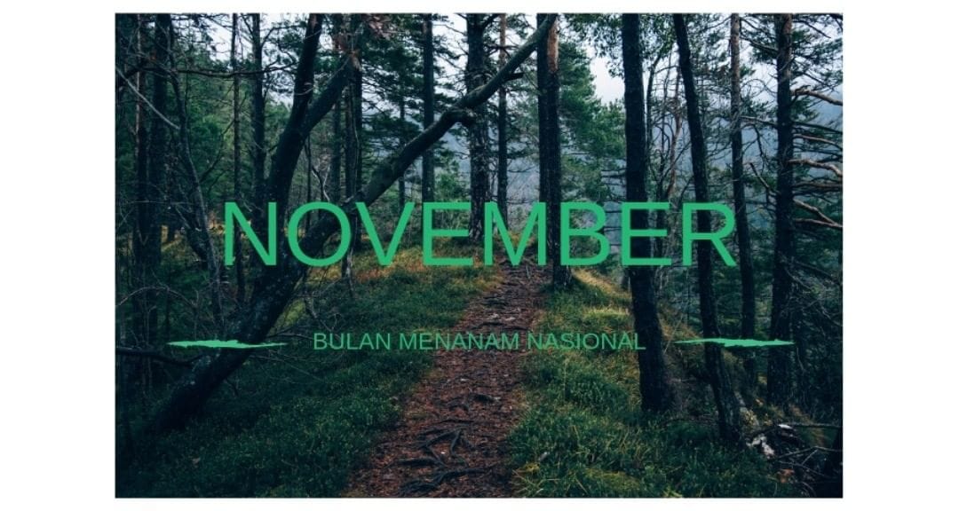 64fc4f0723237_Bulan Menanam Nasional.jpeg